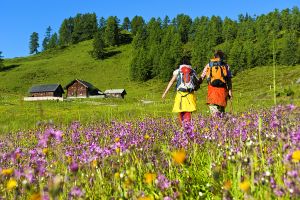 Wandern in Altenmarkt-Zauchensee