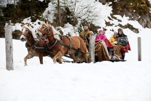 Pferdeschlittenfahrt im Salzburger Land Pferdeschlittenfahrt im Salzburger Land